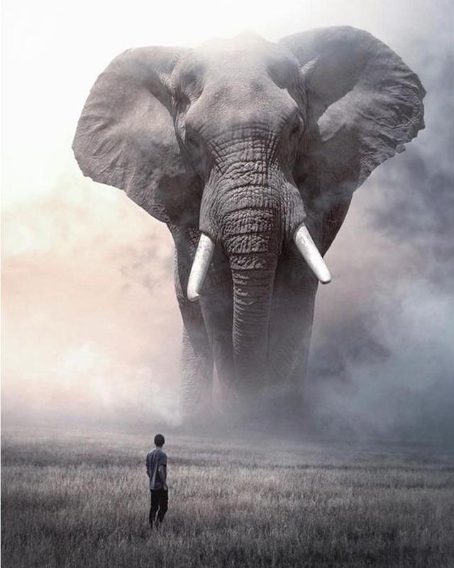 5D Diamond Painting Elephant Full Drill Square Needlework Diamond Embroidery Full Set Animal Diamond Mosaic Cross Stitch Craft Kit Home Decor