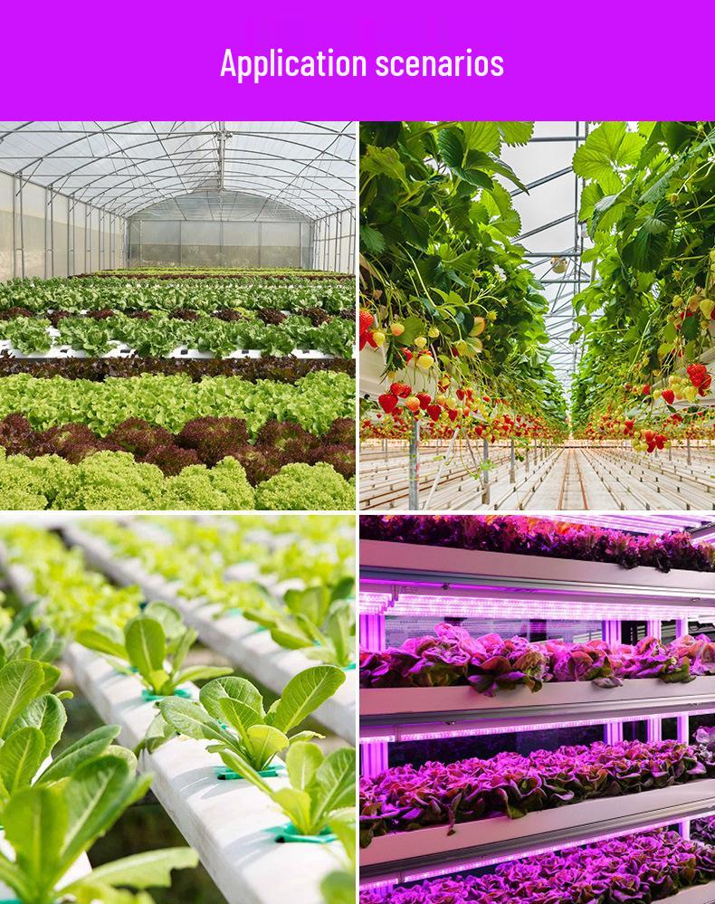 Adjustable E27 LED Plant Growth Light for Indoor Greenhouses and Seedlings