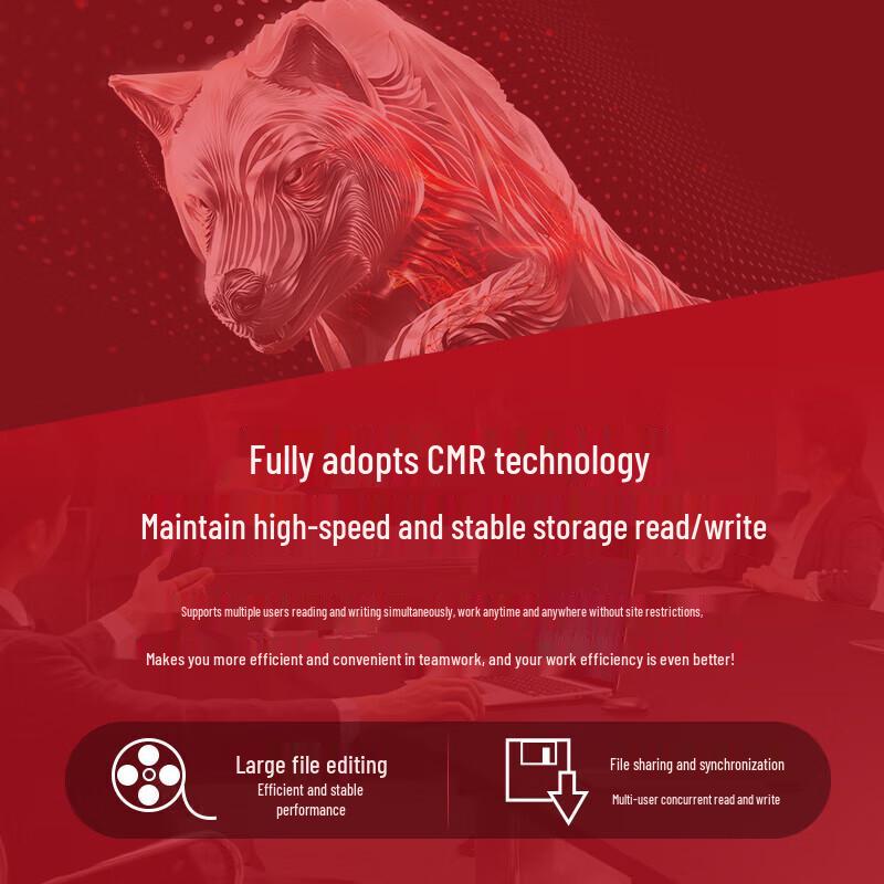 Seagate IronWolf NAS Hard Drive