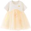 Baby Girls Mesh Princess Dress