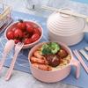Colorful Wheat Straw Noodle Bowl & 5-Piece Tableware Set