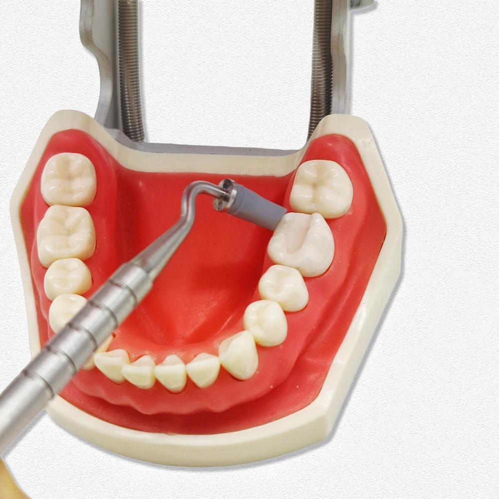 1 set de pensule din rășină dentară, mâner din oțel inoxidabil, modelare, cap moale din silicon, instrumente adezive pentru ciment compozit din porțelan
