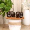PCS Carved Micro Landscape Home Decor Natural Wood Miniature Craft Animal Figurines Elephant Statue