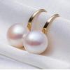 Glamour Earrings Sale Natural Freshwater Pearl Earrings Korean Fashion New Popular Pearl Women's Earrings