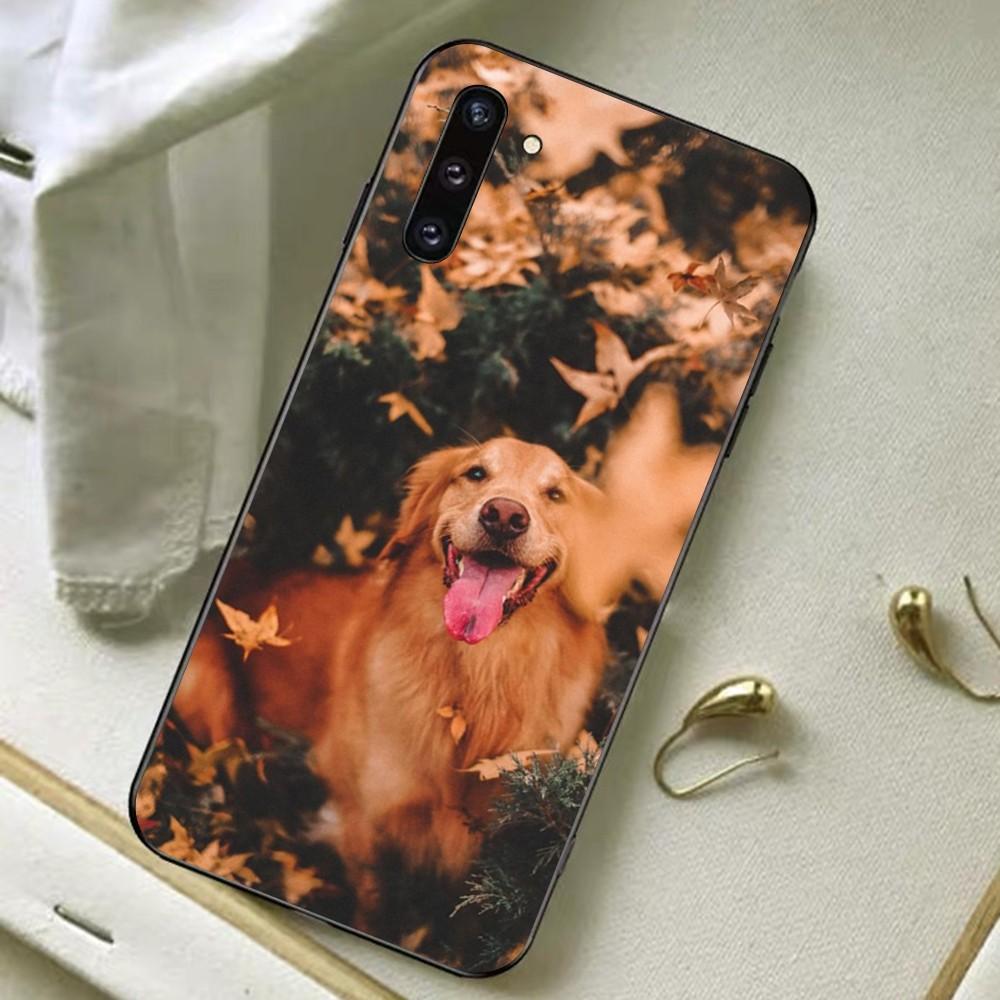 

Cute Labrador Dog Phone Case For Samsung Note 8 9 10 20 pro plus lite M 10 11 20 30 21 31 51 A 21 22 42 02 03 Samsung M20