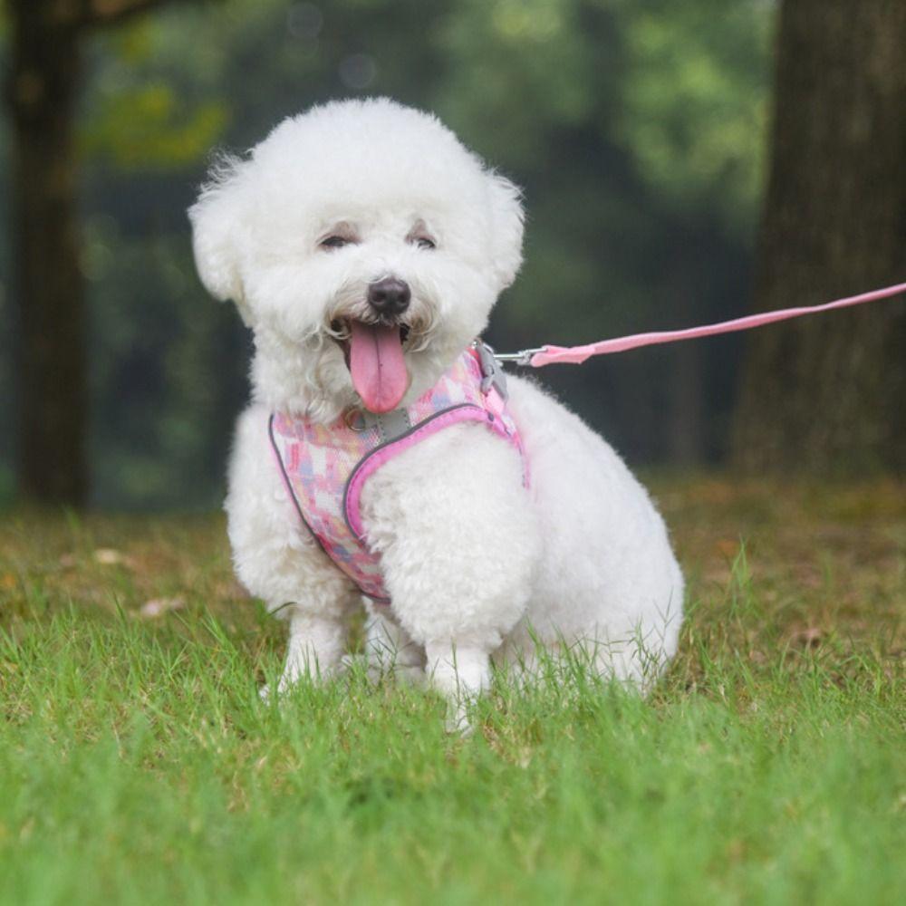 Reflective Pet Vest Style Harness Breathable Pet Chest Strap Dog Harness Leash Set  Chihuahua