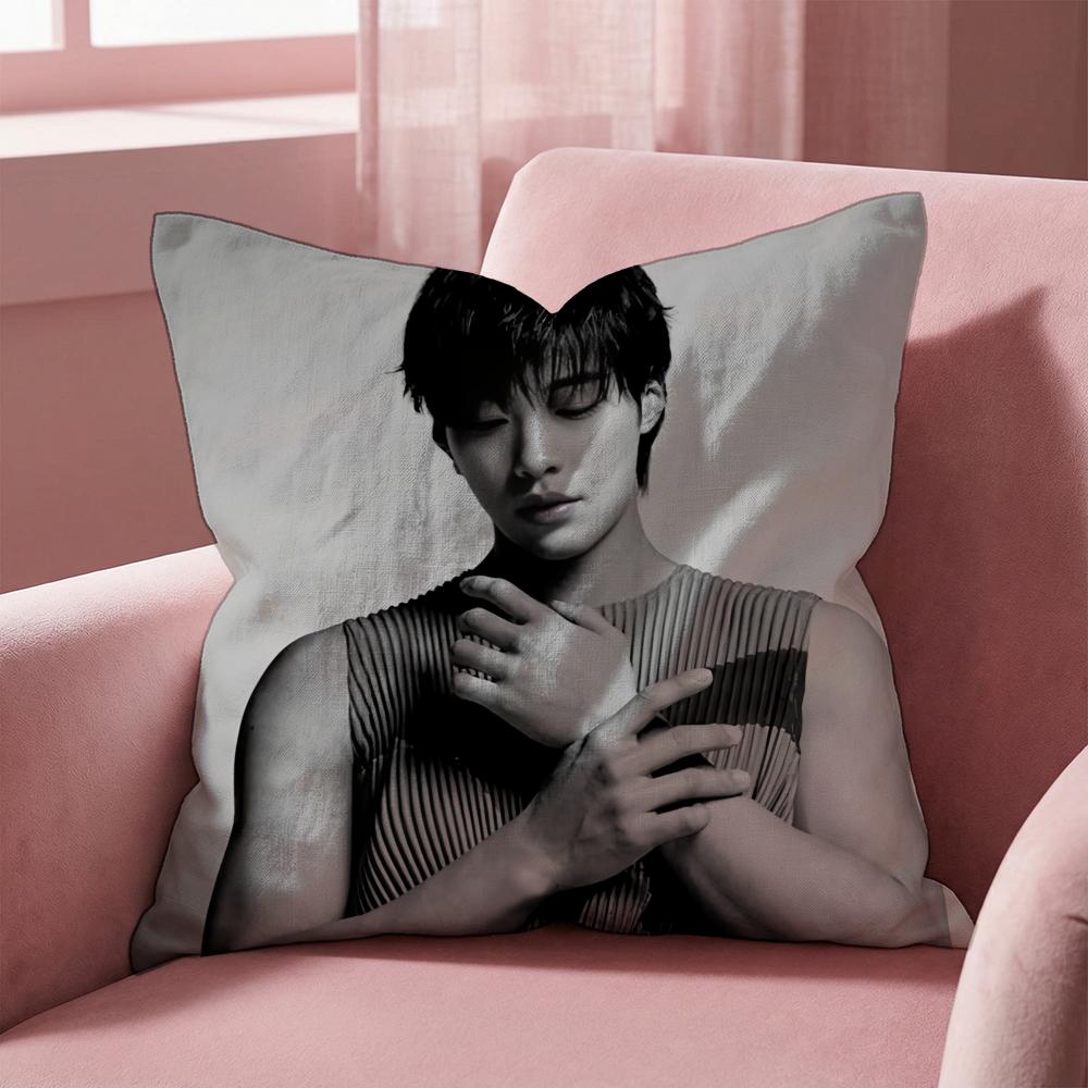 W-Woo Do H-Hwan Cushion Cover Multi-Scene Pillow Cover for Home & Car - Reversible, Soft & Durable for Daily Use