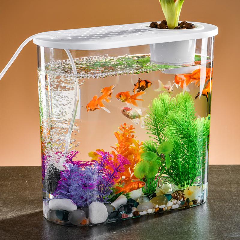 Clear Oval Desktop Fish Tank & Turtle Habitat Ornament