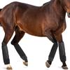 Horse Leg Support Boot Brushing Horse Boot Horse Foreleg Hindleg Wraps Horse Protective Gear and Training Equipment