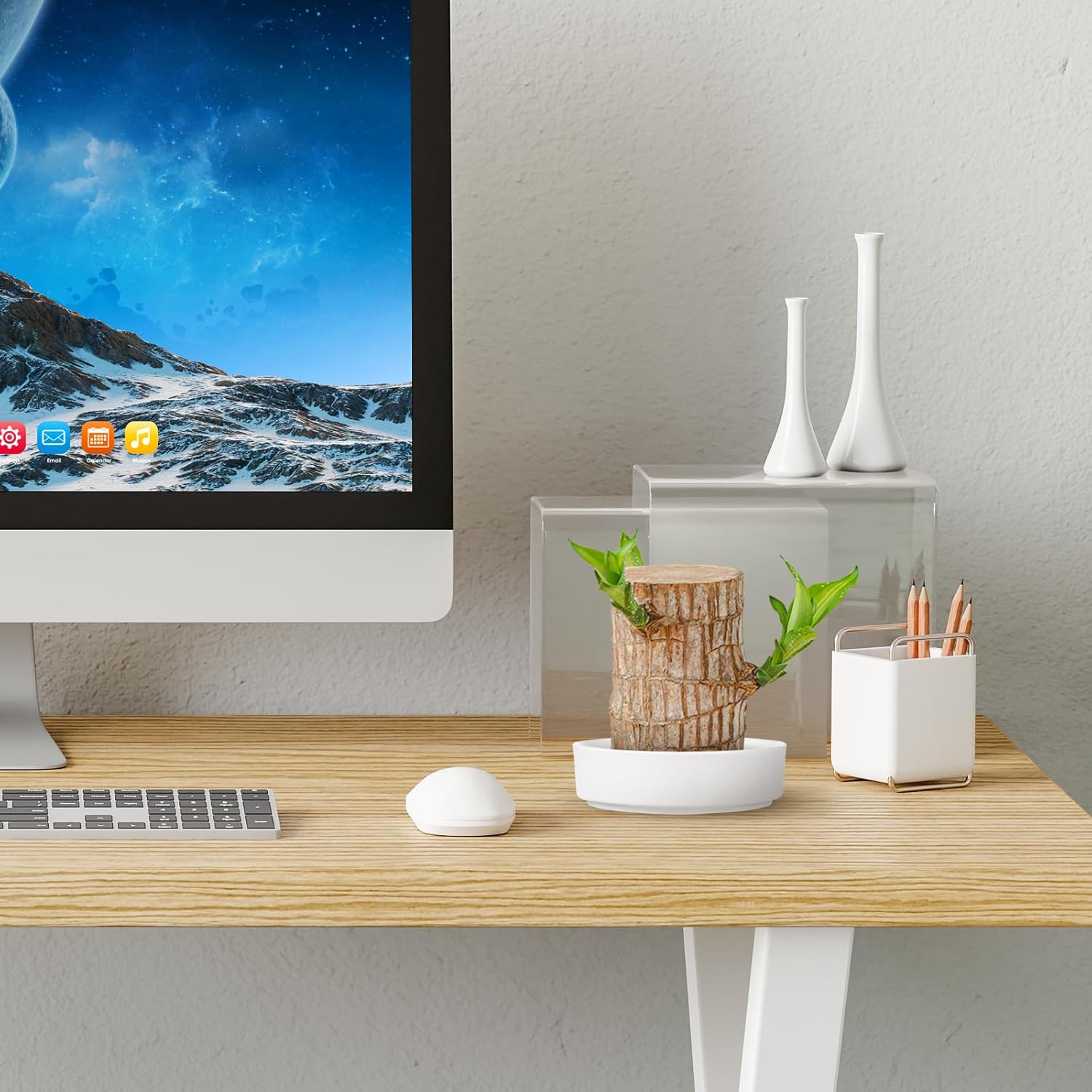 Hemoton 2 шт. Паллет из бразильского дерева, Керамическое блюдце для растения, Круглые и прямоугольные блюдца для суккулентов, Белое керамическое блюдце для горшка, Блюдце-поддон для растения, Растение