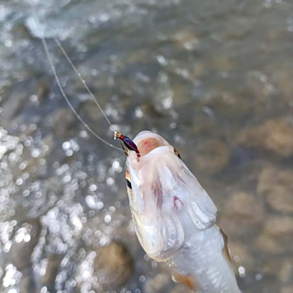 6/12/18/24 szt./pudełko Różne nimfy epoksydowe do połowu muchowego na pstrągi, okonie, ryby, przynęty wędkarskie