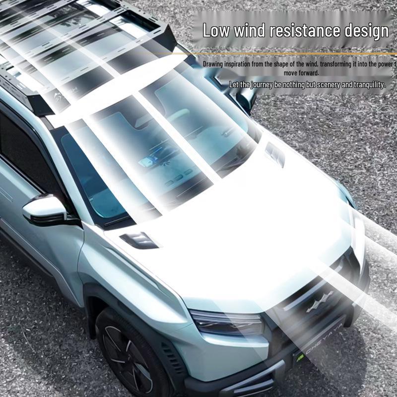 Equation Leopard Titanium 3 Black Panther Car Roof Rack with Side Ladder and Armor.