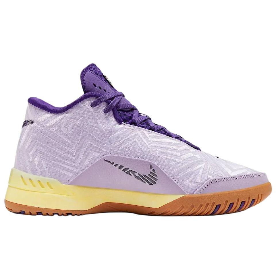 Nike LeBron NXXT Genisus Support Grip Basketball Shoes Men's Purple Sneakers IM8549-500