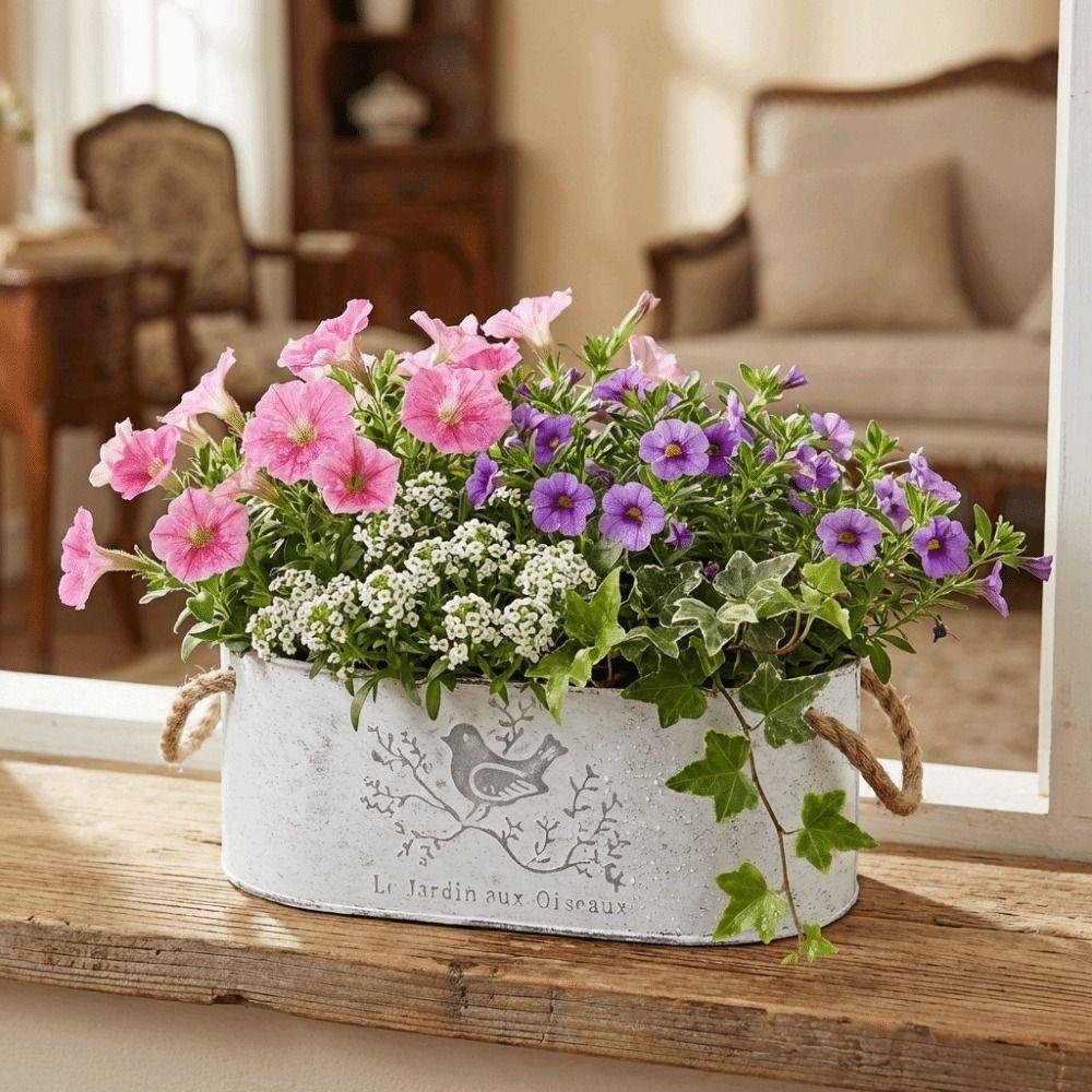 Vintage Style Iron Flower Bucket Distressed Finish Wear-resistant Metal Flower Pot Double Handle Decorative Pot Flower Vase