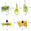 5 Piece Small Parrot Chewing Rattan Ball Foraging Toy for Lovebird top sale