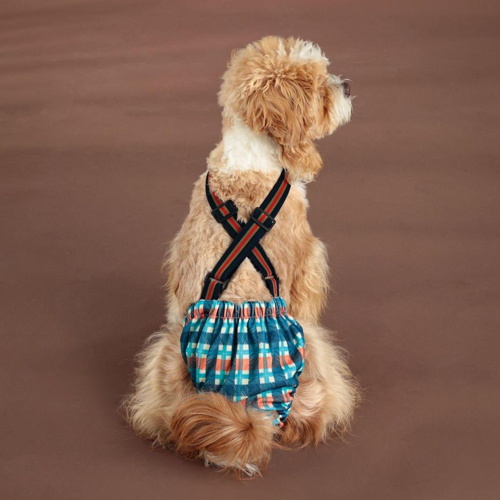 Large Dog Physiological Safety Suspenders - Female Dog Menstrual Anti-Harassment Pants