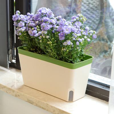 Selbstbewässernder Blumentopf, rechteckig, modern, doppelschichtig, für den Innenbereich, Fensterbank, Desktop, Blumenkräuter, Sukkulenten, Pflanzkasten, Gartenbedarf