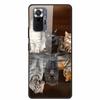 Tempered Glass Colorful Cover For Xiaomi Redmi Note 10 Pro Case Hard Shockproof Funda for Redmi Note10 / Note 10Pro Cases Shell