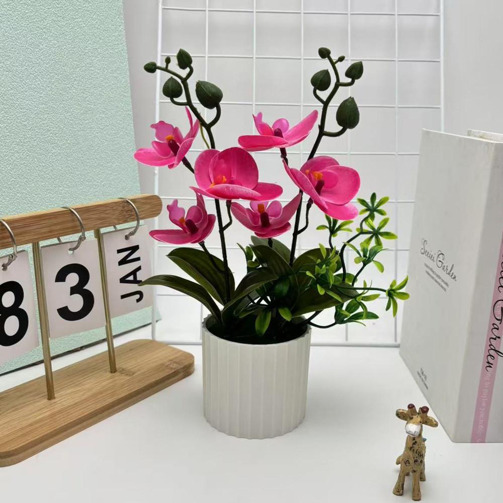 Artificial Plastic Phalaenopsis Flower Bonsai For Event Decoration Home Styling