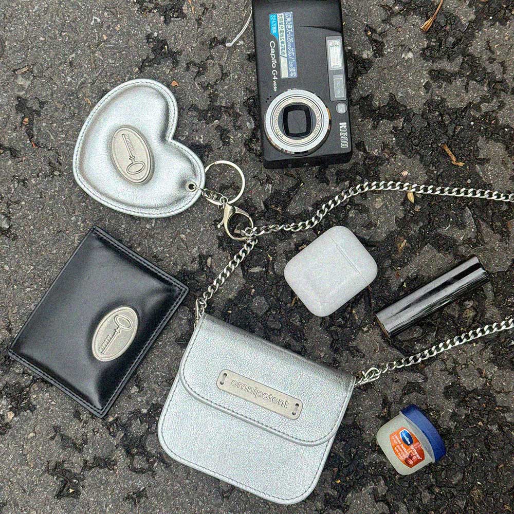 Omnipotent Pin Wallet Bag [Silver]