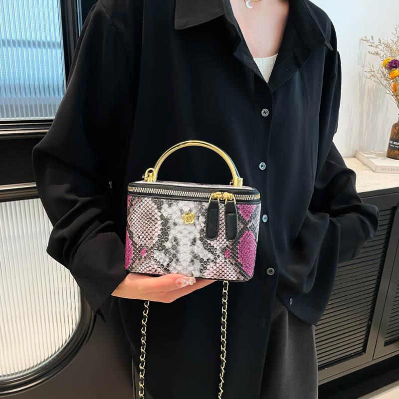 Personalized small bag 2025 new fashion niche snake pattern handbag women's versatile chain messenger box bag tide
