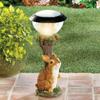 Lawn Lamp Cat Sculpture Solar Garden Animal Statue Squirrel Statue Ornament Animal Light Decor