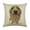 45*45Cm Cartoon Design Pillowcase Creative Household Linen Pillowcase Car Sofa Cushion Cover