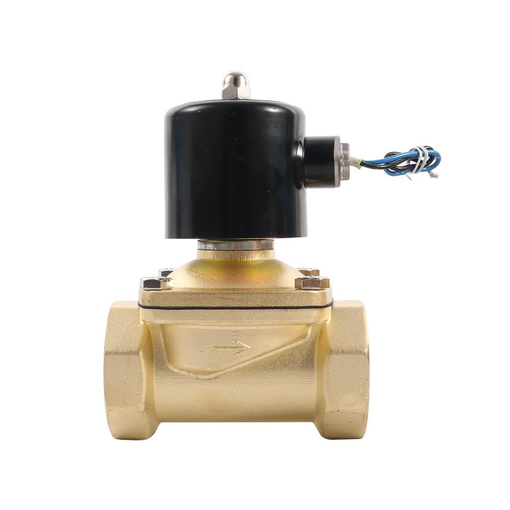 2" Female Thread Electric Solenoid Valve Dc12v Dc24v Ac220v N/C Pneumatic Valve for Water Oil Air 220V AC