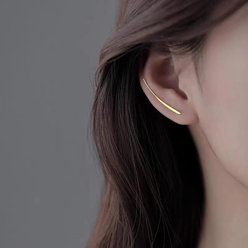 The Same Stud Earrings, New Models In The Year, Trendy Niche Design Ear Hooks