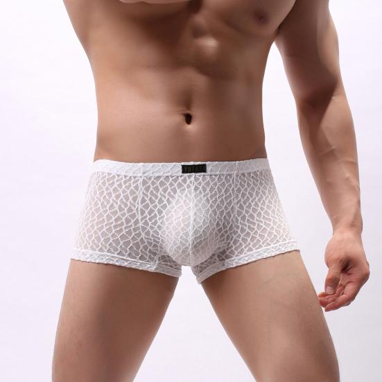 Men Summer Thin Underwear Low-rise Sexy Transparent Lace Shorts Panties Breathable Lightweight Elastic Comfortable Underwear