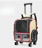 Large Space Cat Backpack with Stereoscopic Shoulder Straps Lightweight Breathable Design for Comfort Refreshing Shading Feature