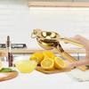 Gold Citrus Juicer Stainless Steel Fruit Juicer Kitchen Tool Lemon Squeezer  Pomegranate