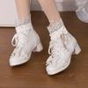 Women Goth Lolita Platform Boots Chunky High Heels Ankle Boots Lace Buckle Gothic Cosplay Booties Zipper Punk Shoes