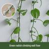 Pothos Wall Clips - Non-marking Hooks for Green Plant Climbing and Vine Support