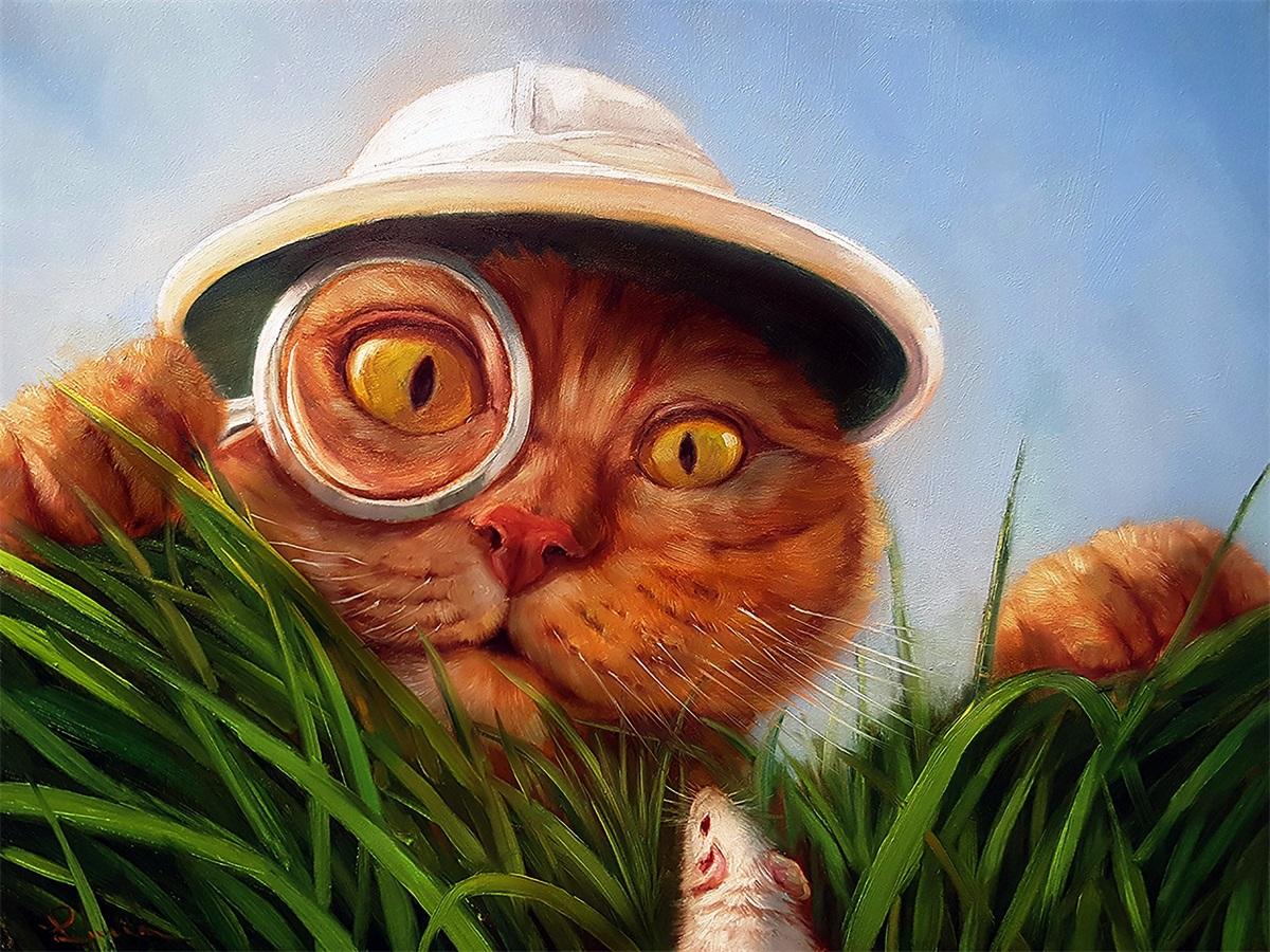 

5D DIY Алмазная картина Полный круглый алмаз Наборы для вышивки крестом Животный узор Кошка Алмазная вышивка Домашний декор Full Round 20x30CM