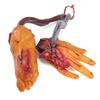 1set Halloween Bloody Foot Hands Fake Scary Severed Broken Body Parts With Hook For Halloween Party Hanging Decoration Props