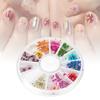 12 Types Colorful Natural Dried Flowers Set Real Dry Flowers Nail Decoration Manicure Arts