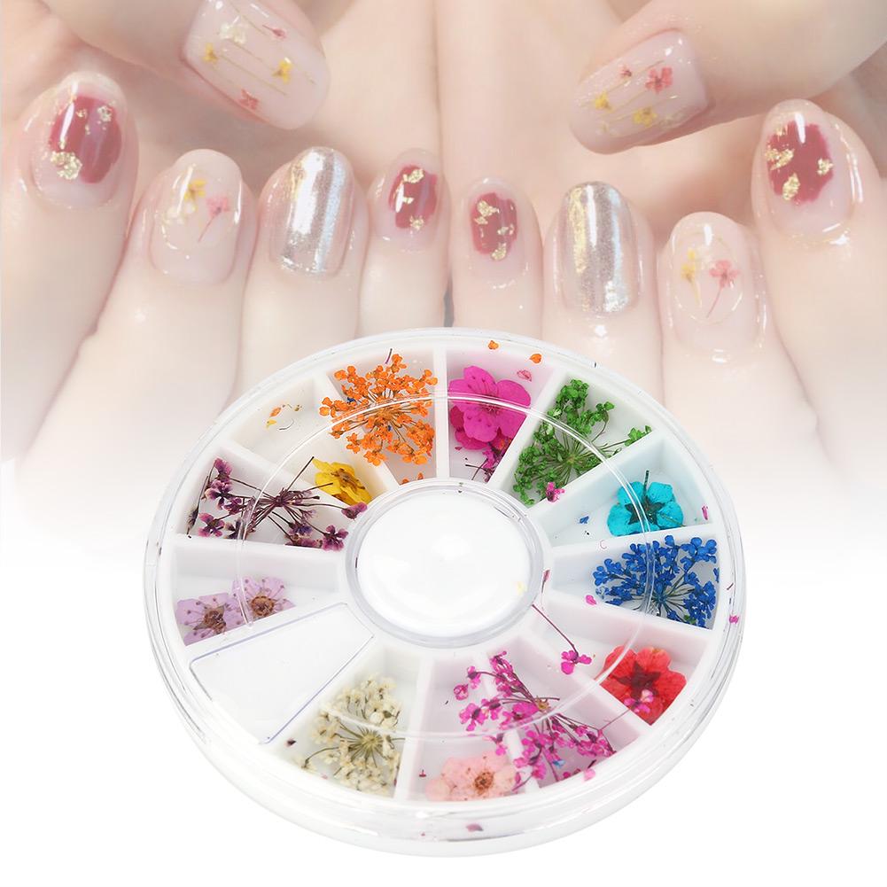 12 Types Colorful Natural Dried Flowers Set Real Dry Flowers Nail Decoration Manicure Arts