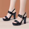 10cm Small Size 32-43 Sexy Genuine Leather Shoes Women's Thick Platform Sandals 2025 Block High Heels Sandals for Office Model