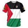 (DOMIO) Palestine Flag Football Kid T Shirt Summer Short Sleeve National Emblem 3D Printed Kid Sports Tees Loose Tops Men Tshirt