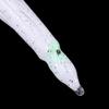 10 Pieces Squid Lure Soft Baits Octopus Skirt Tackle Saltwater A Necessary for Fishing Lovers