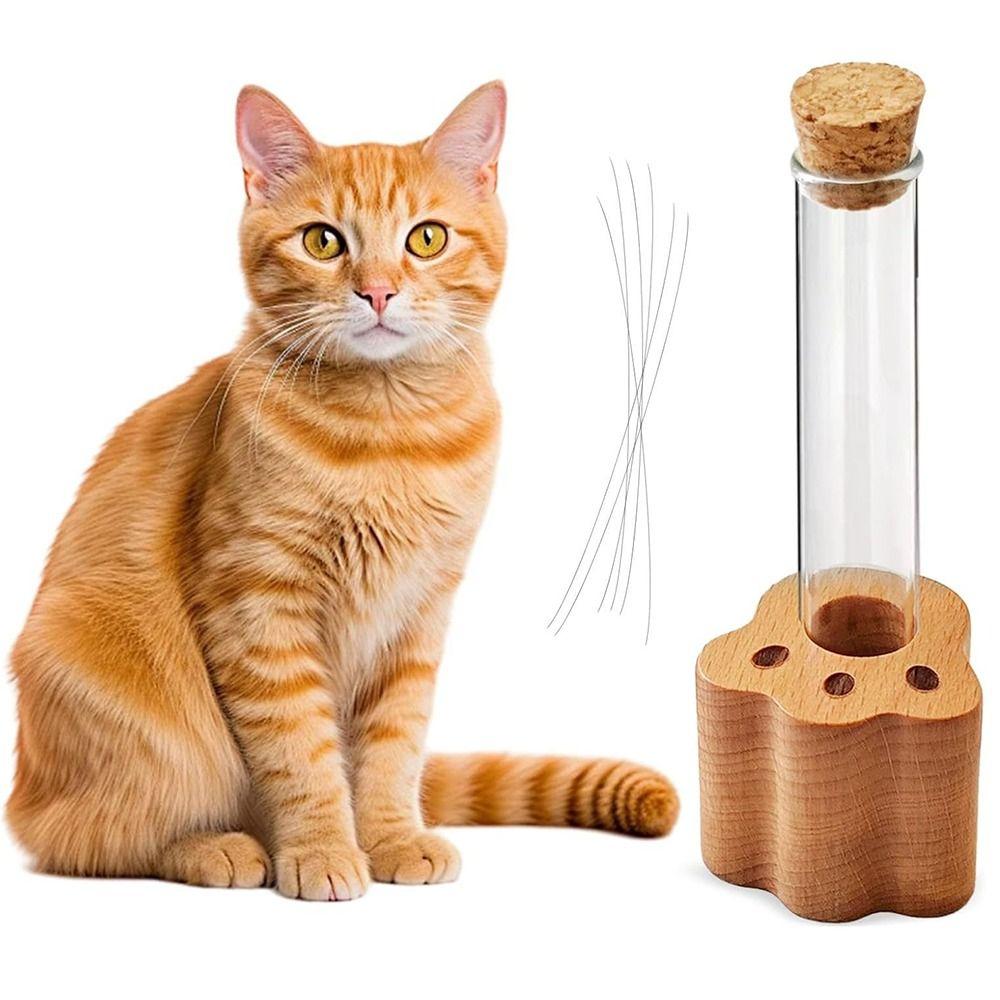 Wooden Base Cat Hair Holder Paw Shape Multi-functional Hair Keepsake Display Vase Durable Transparent Pet Memorial Gift Trinkets