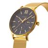 TIMEX Transcend Quartz 5 ATM Water Mineral Black TW2W20000 Women's Watch, Movement, Resistance, Glass, Dial, [Authentic]