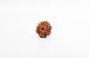Natural 9 Mukhi Rudraksha Bead – Nepali Origin | Powerful Bead for Durga Blessings, Fear Removal, Vitality & Energy Shield | Organic & Lab Certified