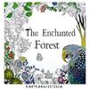12 sheets/24 pages Secret Garden Stress Relief Hand drawn Coloring Book Adult Painting Coloring Book
