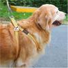 Doppelköpfige Hunde Auslaufkabel Leine, Traktionsseil mit Metallschnalle Stahldraht rostfreier Trainingshalsband, Outdoor Hunde Gurt