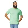 Gildan Unisex Adult Softstyle Plain Cotton T-Shirt