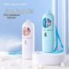 2025 Portable Nano Sprayer: Cute Pet Capsule & Facial Steamer with Alcohol Disinfecting Feature