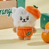 BT21 Baby Orange Party Small Plush Set – 6 Characters