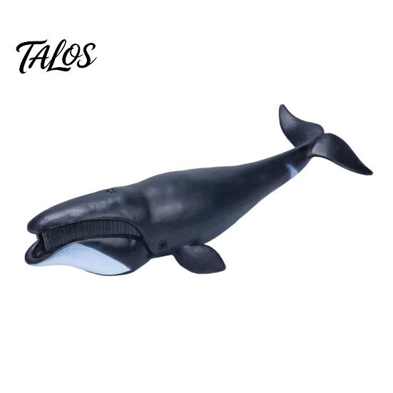 Kleinkinder Haifischspielzeug Simuliertes Meeresleben Modell, Realistischer Wal Delfin Figur, PVC Meerestier Modell Pädagogisch für Jungen Mädchen